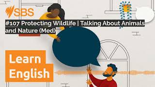 #107 Protecting Wildlife | Talking About Animals and Nature (Med) | SBS Learn English