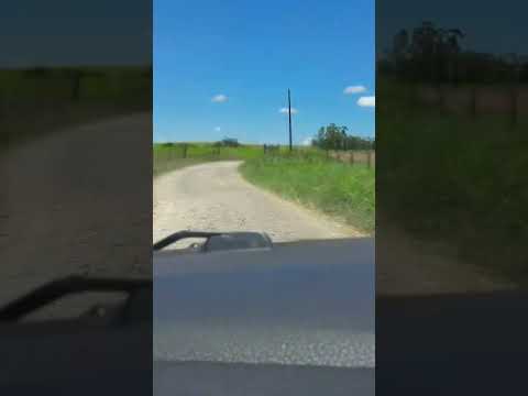 Estrada rural de Jundiaí do sul pr