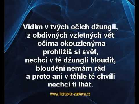 Obyčejný muž - Petr Spálený Karaoke tip