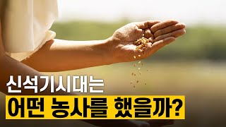 [핫클립] 초보적인 농경이 행해진 신석기시대 / YTN 사이언스