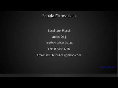 Scoala Gimnaziala Plesoi