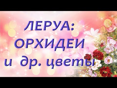 ЛЕРУА: ОРХИДЕИ и др. цветы,ТЦ "Космопорт",г.Самара,10.02.2019.