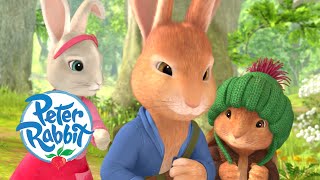 Peter Rabbit - Tales of the Three Mischievous Rabbits | 1 hour+ of Adventures! | Cartoons for Kids