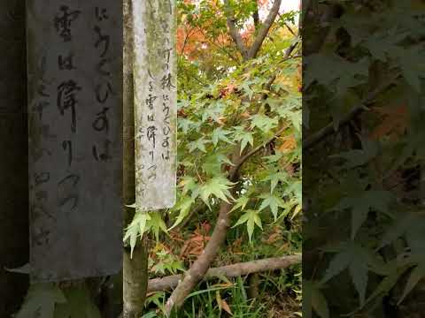 園芸 ロワイヤンの世界の庭園 (17)