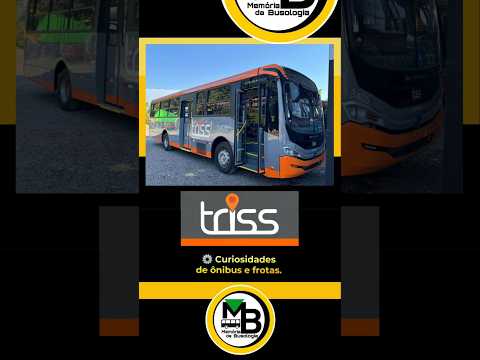 Novidade  Sapucaia do Sul.