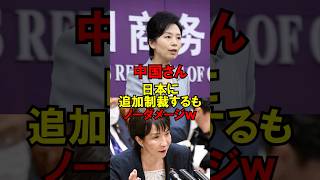 中国さん、日本に追加制裁するもノーダメージｗ #政治 #自民党 #外交 #高市 #ゆっくり解説