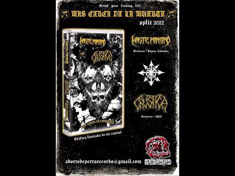 Waste Mankind & Crustica Split Tape