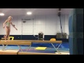 My First Attempt Aerial Off High Beam