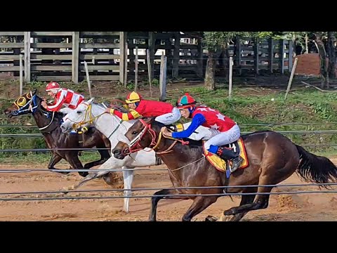 TORDO CARO - 450mts - Sao Gabriel - Video desde los 275m - 29/05/2022