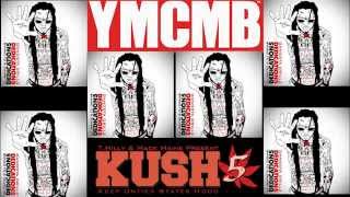 LiL Wayne -  Fuckin Problems ft Euro Kidd Kidd  ( Dedication 5 )