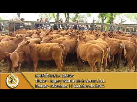 11-10-17 Nota Martín de la Serna - Jorge y Martín de la Serna S.R.L. - Bolivar
