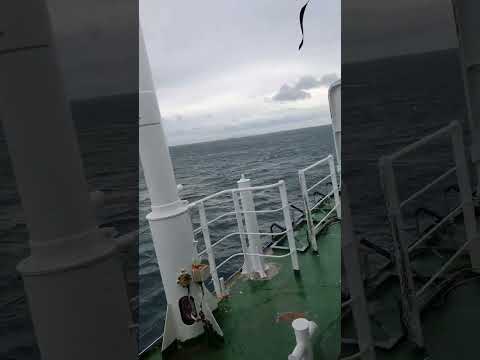 Mv Manu Folau ft Strong Wind(Fiji)