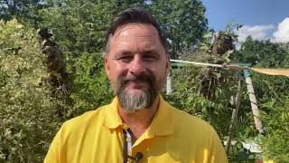 Job - Stellenausschreibung - Stein Doktor sucht Mitarbeiter in Berlin