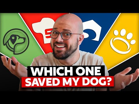 Best Wireless Dog Fence (GPS, Electric, Invisible)— Which One Actually Works?