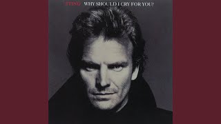 Why Should I Cry For You? (Extended Mix)