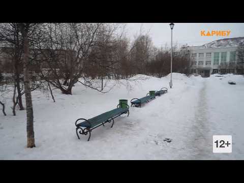 Сквер имени Билибина или Аллея почётных граждан: магаданцы выберут территорию для благоустройства