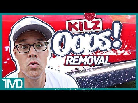 How To Remove Paint Splatter From Your Vehicle | ExoForma Black Trim Restorer