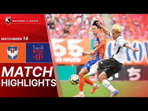 bg-highlight