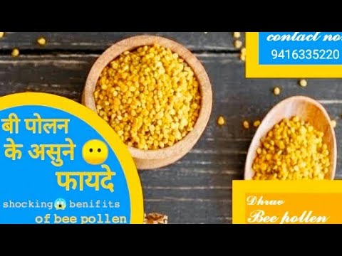 Honey bee pollen, grade standard: food grade