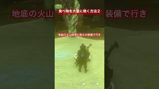 【#ゼルダの伝説ティアーズオブザキングダム 】大量に食べ物を焼く方法2