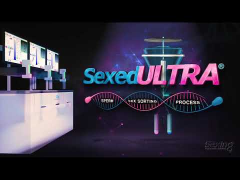 Semen Sorting Process of Sex Sorted Semen