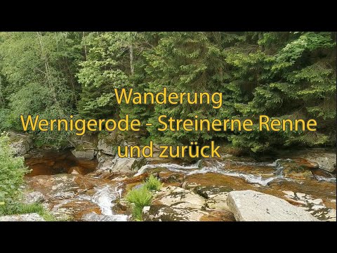 Wanderung Wernigerode, Steinerne Renne und zurück