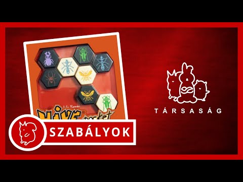 HIVE társasjáték - szabályismertető - A Társaság