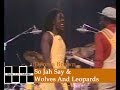 Dennis Brown Live- So Jah Say & Wolves And Leopards