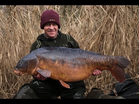 Terry Hearn - The Parrot - Iconic Carp Fishing