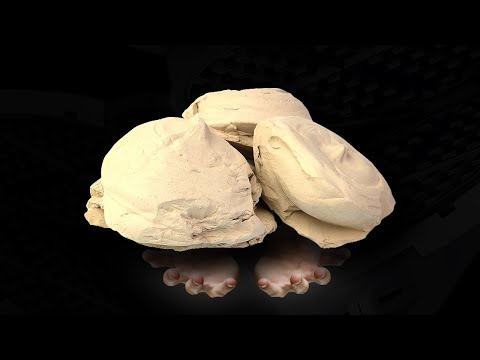 Clay - Will it Waffle? 🧇