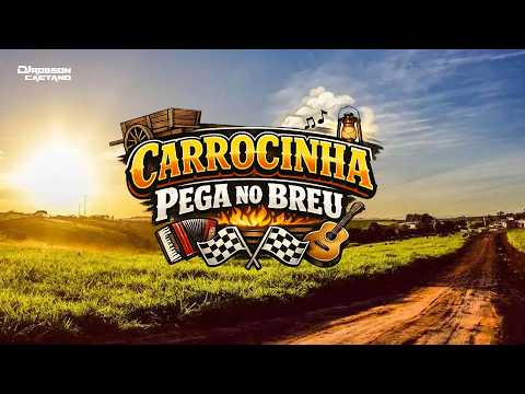 CARROCINHA PEGA NO BREU - PORTO ESPERIDIÃO MT - TEBETE MÚSIC
