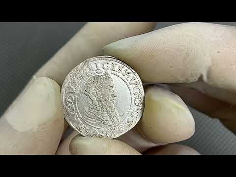 Zygmunt II August, Czworak Wilno 1566 - piękny