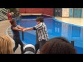 Sea Lions Tonite Full Show 2013
