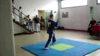 preview picture of video 'Gustavo Antognazza Maestro V DAN  Taekwondo DTA'