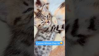 Download lagu Tokei No Uta 🥰 #chinashort #chinavlog #chinasong #cartoon #funny #viral #tiktoke #youtuberchannel mp3 Download lagu Tokei No Uta 🥰 #chinashort #chinavlog #chinasong #cartoon #funny #viral #tiktoke #youtuberchannel mp3