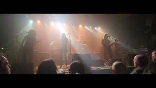 The zutons, pressure point live
