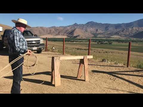 Roping Shots - Heeling Calves at a Branding