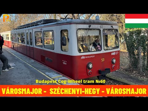 Cab Ride Budapest Cog-Wheel Railway (Budapest's Tram Line №60, Hungary) train driver's view 4K