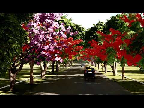 Nova Vita Country Club