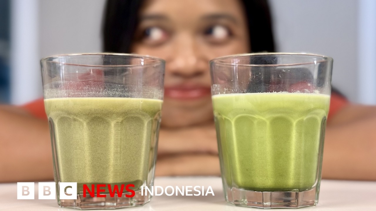 Melihat langsung produksi matcha asli Jawa Barat - BBC News Indonesia