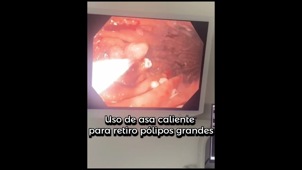 Jorge Pablo Pérez Macías-10