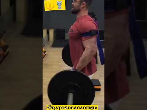 Evolução Paulo Muzy 🔱