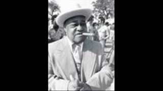 Roosevelt Sykes - Fine and Brown.