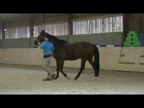 Führen mit Kauen und Pumpen im Bereich HWS