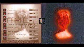 Chandelier-  Living in the human race