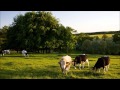 David Poore - Tales from The Green Valley theme