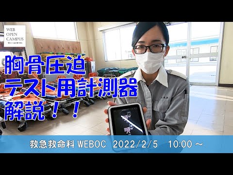 クロアジサシ (Chlidonias niger)