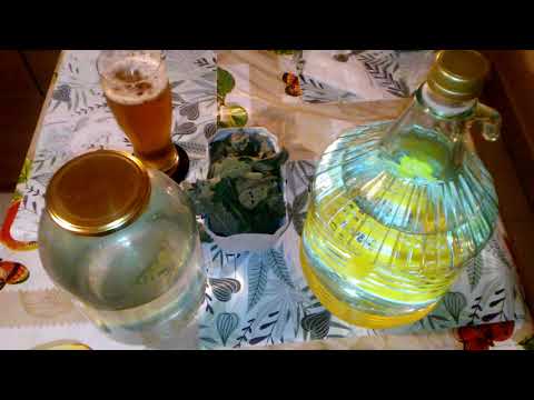 Eksperyment! Bimber z miętą. 1-2