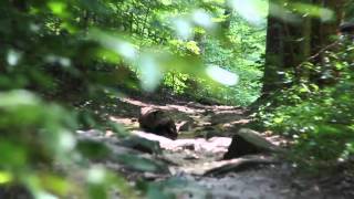 5 unique places for your wedding day portraits // cleveland, ohio