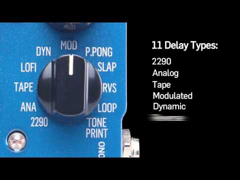 TC Electronic Flashback Delay and Looper Guitar Pedal